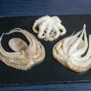 Pulpo Baby