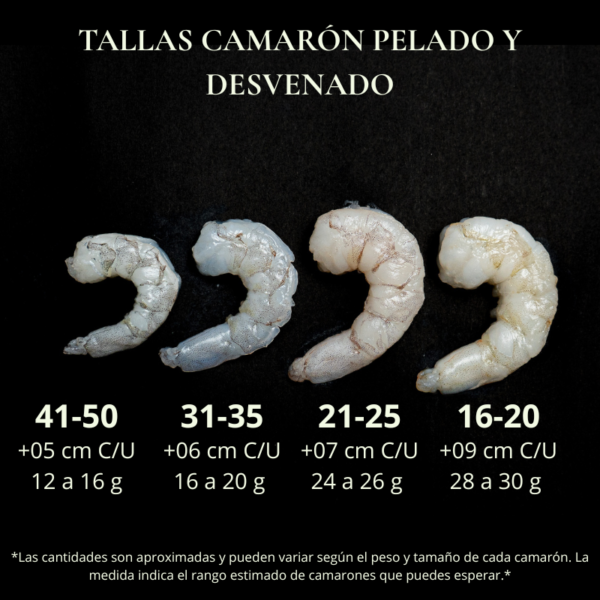 Camarón Pelado y Desvenado